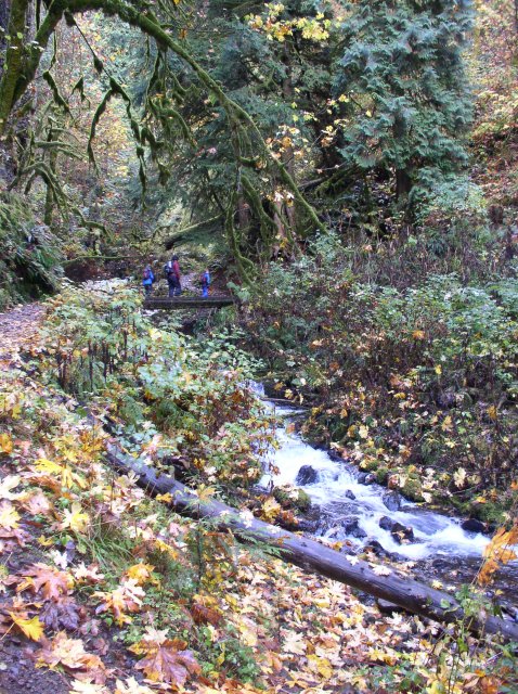 10.28.05 Devil's Rest 028 